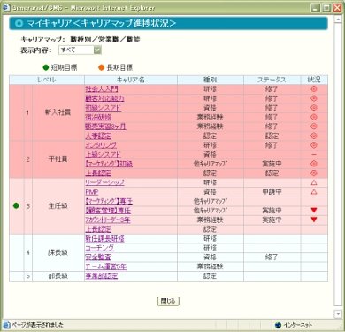 キャリアレベル確認機能