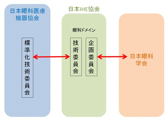 眼科ドメイン