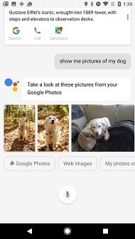 Google Assistant