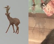 画面