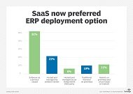 SaaS、ERP導入オプション