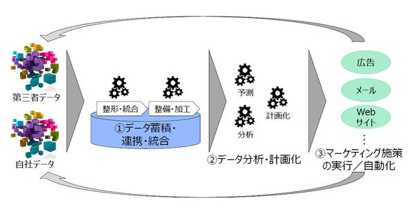 全体像