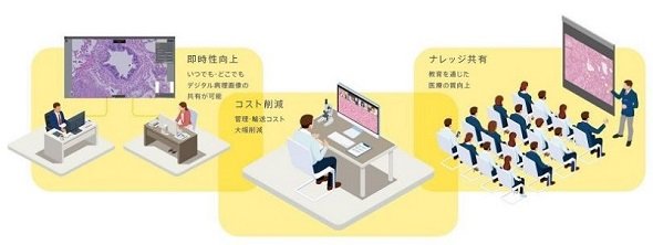 図版